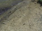 <a href="https://www.dropbox.com/s/mio18qcxw2e50k6/gopro_corner_pin_beach_01_JPGs.zip?dl=0">Click HERE to download</a> Beach corner pin 01