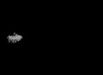 <a href="https://www.dropbox.com/s/30ycy22eqpfq30s/OVFX_gun_smoke_03_PNG.zip?dl=0">Click HERE to download</a> OVFX gun smoke 05